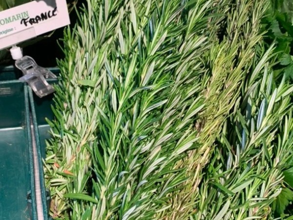 Kräuter der Provence