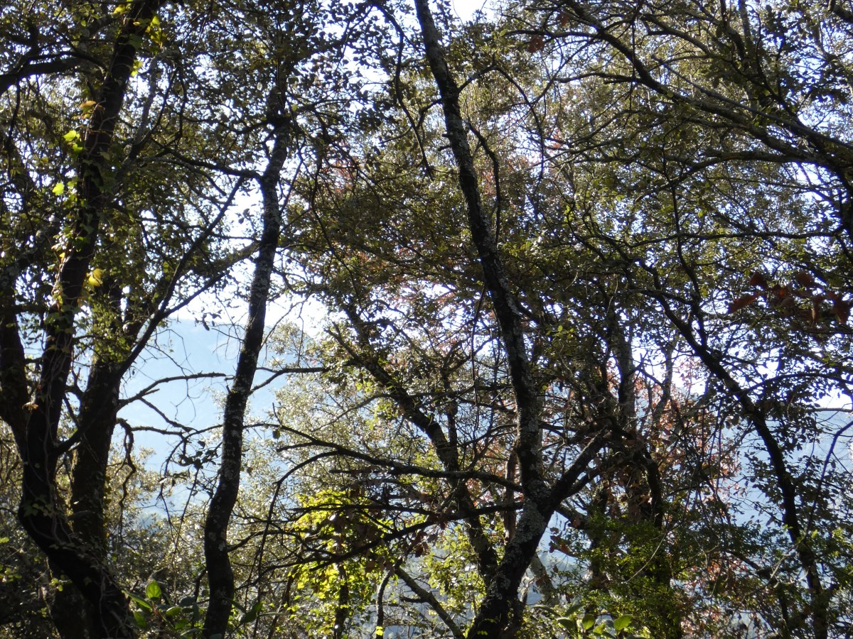 Winterliche Wanderungen im Luberon: Entdeckungen abseits der ausgetretenen Pfade