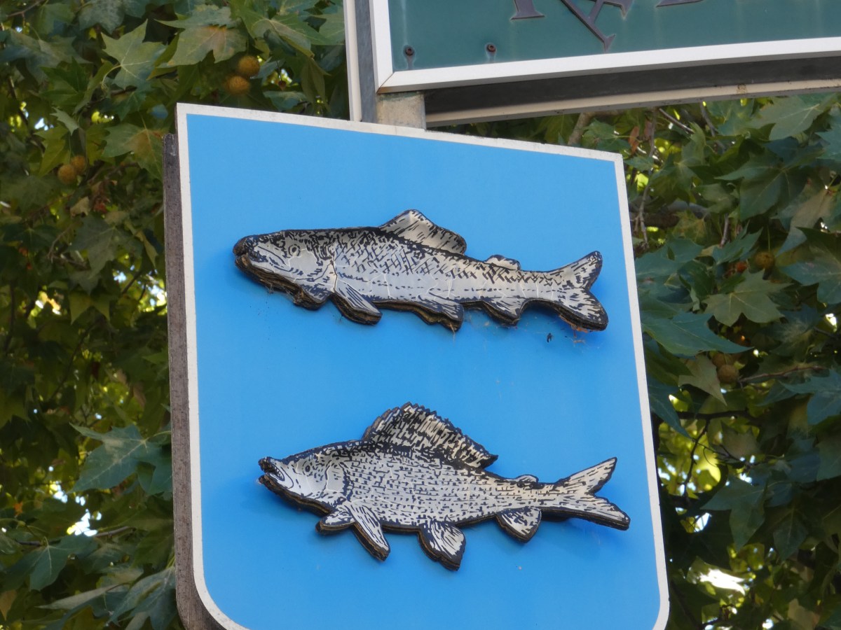 Forellen der Provence